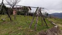 Terreni a destinazione agricola, sviluppati nella zona...