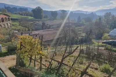TERRENI