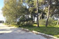 Terreno a Taranto (TA), contrada Caggioni (località Lido...