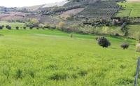 Diritti di piena proprietà  di terreno agricolo...