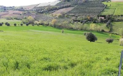 Diritti di piena proprietà  di terreno agricolo...