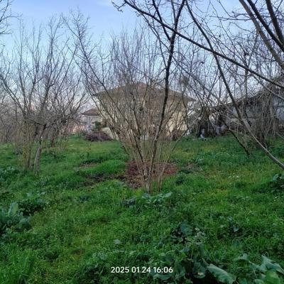 Diritto di enfiteusi pari a 2/3 (livello a favore...