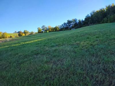- appezzamento di terreno sito in Comune di Serramazzoni (MO), della...