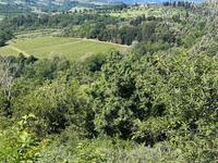 Appezzamento di terreno agricolo posto ai margini del...