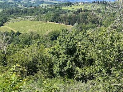 Appezzamento di terreno agricolo posto ai margini del centro abitato ma in una posizione di forte declivio, per una superficie catastale di circa mq. 157.149