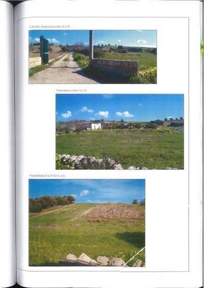 Unità immobiliari in Pachino (SR), C.da Carrata, composte da: a) fabbricato per civile abitazione in NCEU al fg 19, p.lla 1698, cat. A/7, cl. 1, vani 6, sup cat totale mq. 83, RC € 418,33, con piscina interrata di m 10,50x4,15; b) magazzino in NCEU al fg 19, p.lla 2300, cat. C/2, cl. 1, consistenza mq. 218, sup cat mq. 260, RC € 472,87; c) terreno della superficie complessiva di mq 11.000,00, in NCT al fg 19, p.lla 2299, qualità vigneto, cl. 3, Ha 01.07.66, RD € 97,30, RA € 38,92, in Zona “E”.