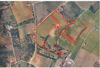 Appezzamenti di terreno agricolo di 54.382 mq siti nel...