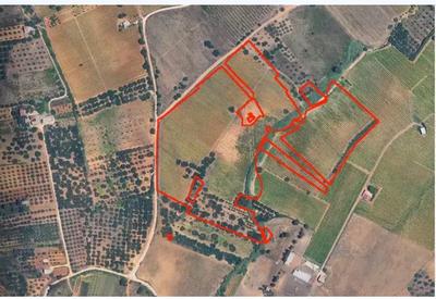 Appezzamenti di terreno agricolo di 54.382 mq siti nel Comune di Partinico...