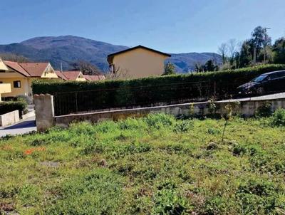 Terreno censito in catasto Terreni, comune di Macchia di...