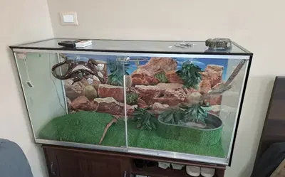 LOTTO N.2 TERRARI PER RETTILI, ACQUARIO, DIVANETTO E N.2 TELEVISORI