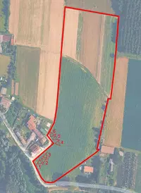 Terreni agricoli ad uso seminativo tra loro confinanti...