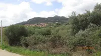 diritto piena proprietà di terreno in Comune di...