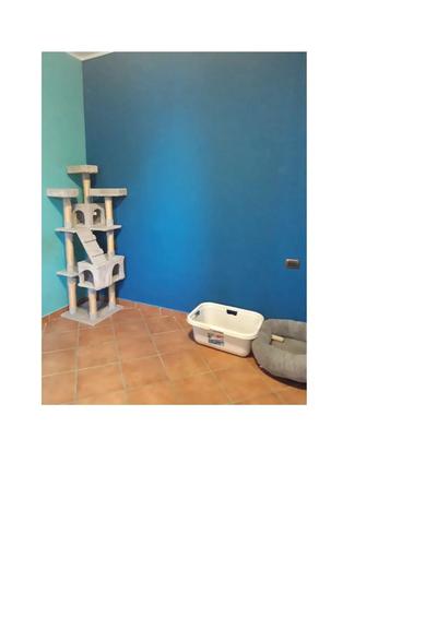 Piena ed esclusiva proprietà 1/1 di abitazione composta da vani di ampia superficie disposta al primo piano, con altre unità immobiliare poste al solo piano terra (di categoria C/2 e C/6)
