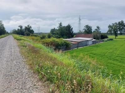 Lotto composto da due abitazioni unifamiliari  su unico livello in area agricola, oltre a tettoia per parcheggio auto con struttura in legno e copertura in lastre di fibrocemento e area cortilizia di forma triangolare e superficie complessiva pari a 2370 mq.
