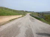 Capannone agricolo in stato di abbandono - unità...