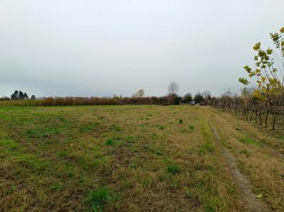 MARCALLO CON CASONE (MI): Piena proprietà di terreno con accesso da strada sterrata raggiungibile dalla Strada Provinciale SP34, identificato al Catasto terreni del Comune di Marcallo con Casone al foglio 1, particella 448, qualità seminativo irriguo, classe 1, superficie 8.489 mq., rendita dominicale € 87,25=; Reddito agrario € 70,15=.