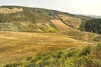 Terreno agricolo ad Alessandria della Rocca (AG),...