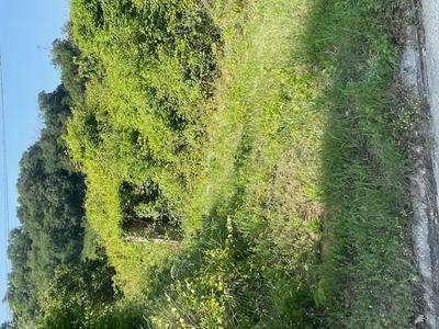 Diritti di piena proprietà di  un appezzamento di terreno agricolo di...