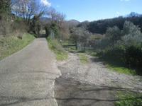In Viterbo alla Strada Ferriera Morello snc, Diritti di...