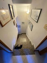 Immobile sito in Cerveteri (RM), Via Fratelli Soprani G....