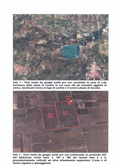 Piena proprietà del tratto di terreno sito in territorio di Lentini (Siracusa), Contrada San Giovanni o Arcimusa, esteso mq. 28.070, riportato in catasto al foglio 14, particella 186, qualità uliveto, classe 2, reddito dominicale € 130,47 e reddito agrario € 86,98.