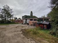 Ramo d'azienda costituito dall'insieme organizzato di...