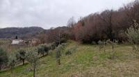 Terreni a destinazione agricola, sviluppati nella zona...