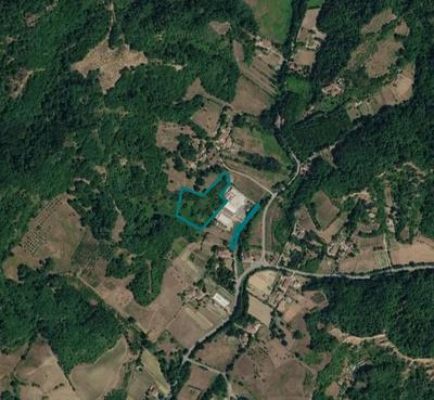 Quota 1/2 di terreni agricoli a Reggello (FI), Località Montanino - LOTTO 2