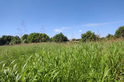 Terreni edificabili a Pojana Maggiore in asta