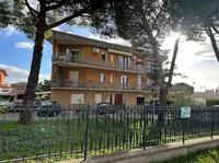 Diritti di piena proprietà su: TERRENO al piano terra,...