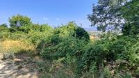 MONTEFALCO (PG) LOC. COLLE SAN CLEMENTE - LOTTO 4/a