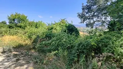 MONTEFALCO (PG) LOC. COLLE SAN CLEMENTE - LOTTO 4/a