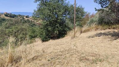 Lotto di terreno di 1786 mq parte edificabile (1276 mq) in zona A.T.U.C. - Ambito Territoriale Urbanizzato Consolidato - I.C.E. = 0,40 mq/mq e parte agricola (510 mq) in zona Agricola art. 52 LUR 19/2002 e s.m.i. - criteri per l’edificazione sottozona agricola E3.