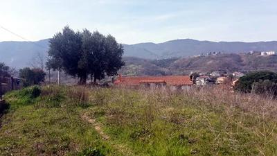 Appezzamento di terreno edificabile ricadente in zona di completamento B1, sup. catastale mq 1.980, costituito da 3 particelle, andamento superficiale in lieve pendio, superficie incolta, visuale privilegiata sulle valli circostanti e sul frontistante borgo antico storico di Montalto Uffugo. Libero