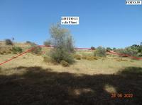 Terreno agricolo (lotto 11)