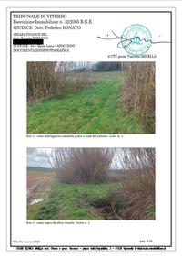 Comune di Viterbo, località Pantane o Bagnaccio -...