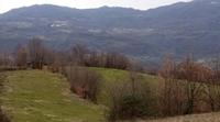 Terreno a destinazione agricola, sviluppato nella zona...