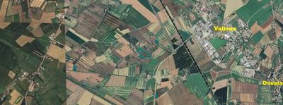 Terreni agricoli a Cortona (AR), Località Ca' di Masino - LOTTO 3