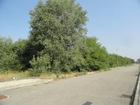 [LOTTO 4] (A) Piena proprietà di 1/1 di terreno...