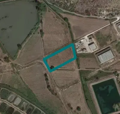 RACCOLTA OFFERTE - Terreni edificabili a Fondi (LT), Località Pantanello -...