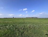 Piena Proprietà 1/1 sita in agro di Cellino San Marco...