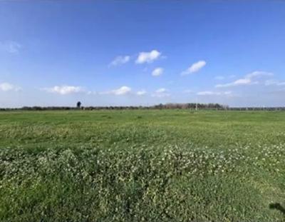 Piena Proprietà 1/1 sita in agro di Cellino San Marco...