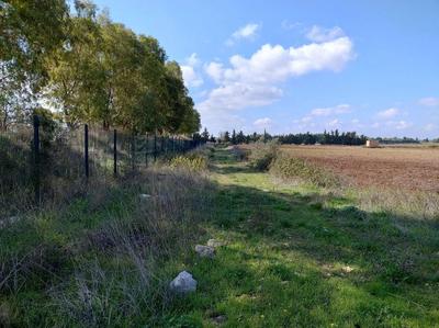 Piena proprietà per la quota di 1000/1000 relativamente ad un terreno composto da una unica particella ad uso agricolo, sito nel comune di Cavallino, località “Contrada Insarti” , avente accesso dalla strada provinciale San Cerario-Caprarica, da una strada interpoderale. Il terreno distinto in catasto terreni del Comune di Cavallino, al foglio 16,  P.lla 49, nel vigente P.R.G. del comune di Cavallino, ricade in zona E/1-Agricole produttive Normali ed in parte nel perimetro di rispetto della discarica RSU.