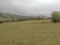 Diritti di piena ed esclusiva proprietà per la quota di...