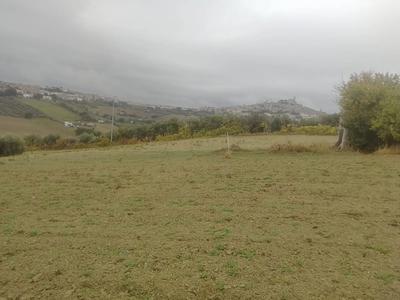 Diritti di piena ed esclusiva proprietà per la quota di...