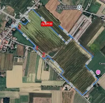 Terreni, siti nel Comune di Forlimpopoli e distinti al NCT al foglio 8.Trattasi di lotto di terreno agricolo sito nella prima periferia agricola/suburbana del Comunedi Forlimpopoli (FC), localit...