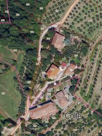 Lotto unico: diritto di piena proprietà (100%) di terreni siti nel Comune di Chiusi (SI), in località Podere Il Colle, strada vicinale Il Colle, censiti al Catasto Terreni del Comune di Chiusi al foglio52, particelle 316 (uliveto, mq 180), 318 (uliveto, mq 250), 306 (uliveto, mq 460), 312 (uliveto, mq 871), 313 (relitto stradale, mq 210, considerato resede), 296 (bosco misto, mq 920), 300(pascolo cespugliato, mq 730) e 192 (uliveto, mq 37). 
