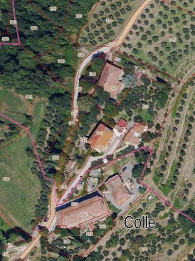 Lotto unico: diritto di piena proprietà (100%) di terreni siti nel Comune di Chiusi (SI), in località Podere Il Colle, strada vicinale Il Colle, censiti al Catasto Terreni del Comune di Chiusi al foglio52, particelle 316 (uliveto, mq 180), 318 (uliveto, mq 250), 306 (uliveto, mq 460), 312 (uliveto, mq 871), 313 (relitto stradale, mq 210, considerato resede), 296 (bosco misto, mq 920), 300(pascolo cespugliato, mq 730) e 192 (uliveto, mq 37). 