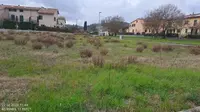 diritto di piena proprietà su 1/1 di un terreno già...