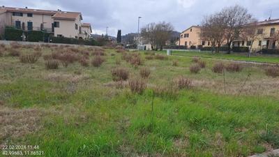 diritto di piena proprietà su 1/1 di un terreno già...